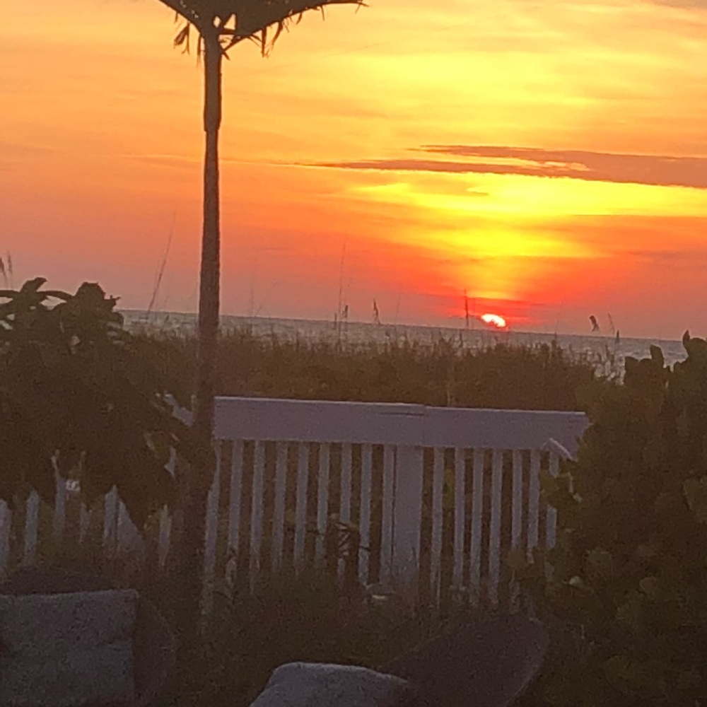 Meet your Posher, Lisbeth